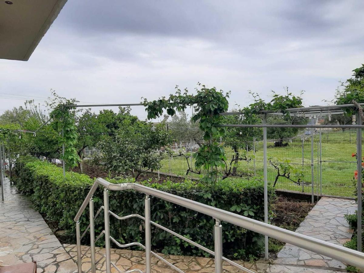 הימארה Rexhos Studios מראה חיצוני תמונה