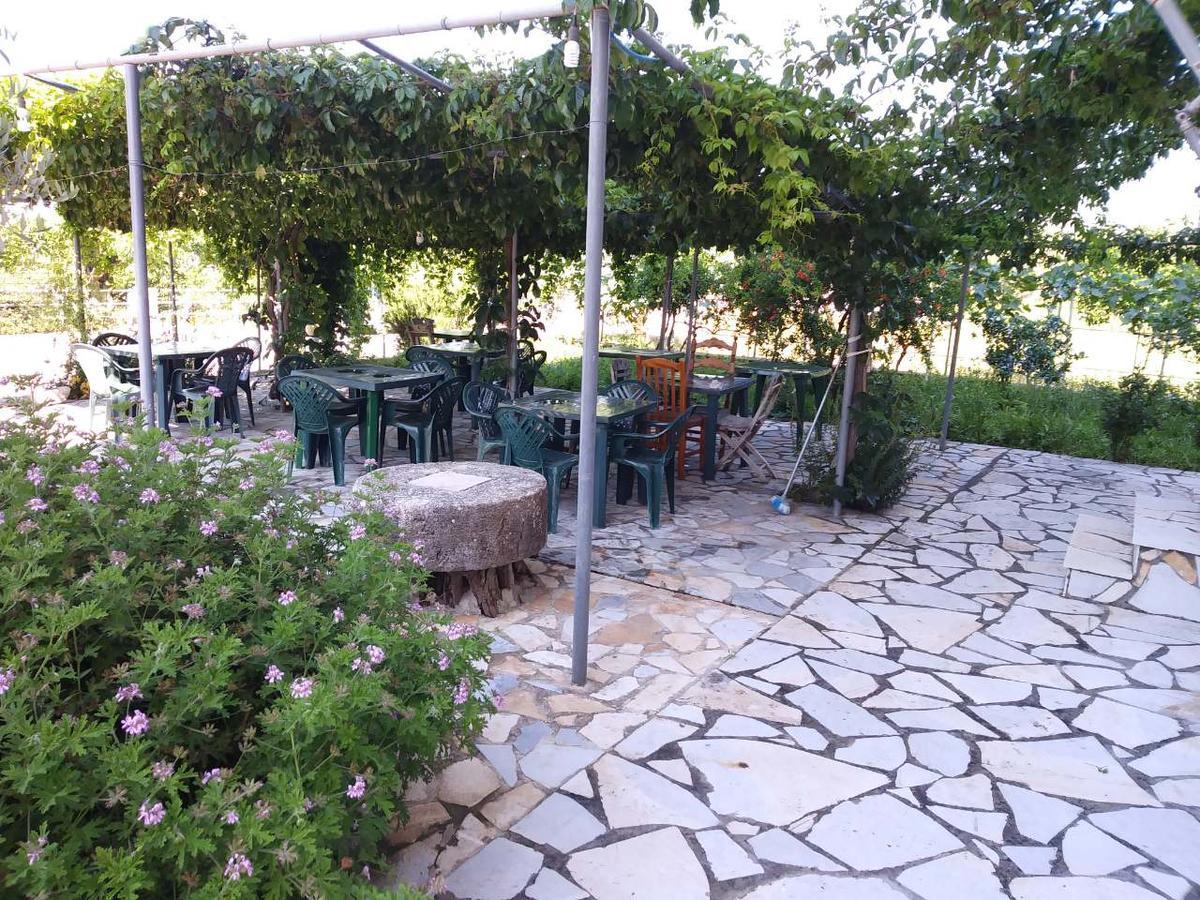 הימארה Rexhos Studios מראה חיצוני תמונה